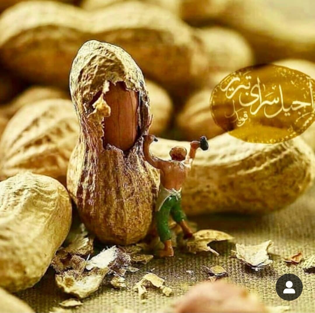 آجیل سرای تبریز قویدل در تبریز